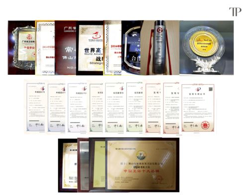 緹派多功能智能衛浴工程技術研究中心榮獲市級認定，引領技術咨詢新篇章